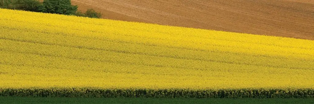 Бърз кредит до 150 000 евро, обезпечен със земеделска земя